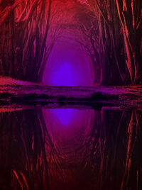 A woodland is reflected upon a body of water.